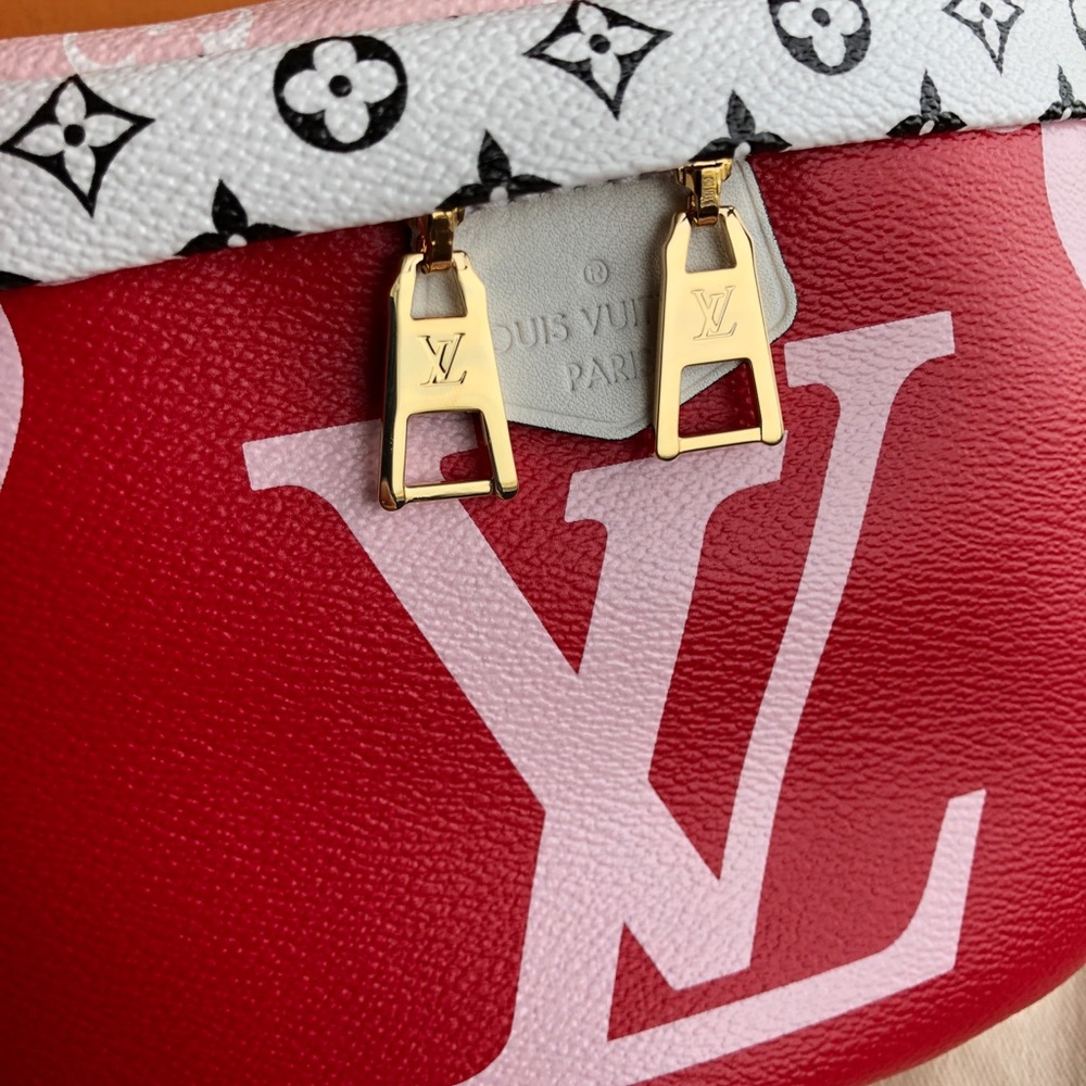 SOLD🔥Limited Edition Louis Vuitton Bumbag NWT❤️ - Picture 2 of 8